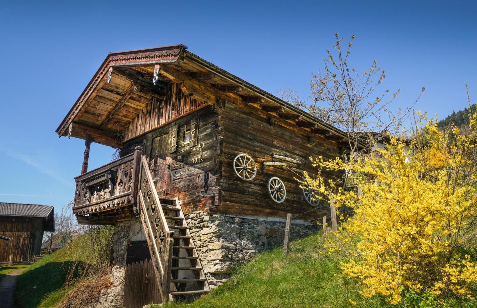 Appartements Mary Inklusive Tauern-Spa Kaprun Eksteriør bilde