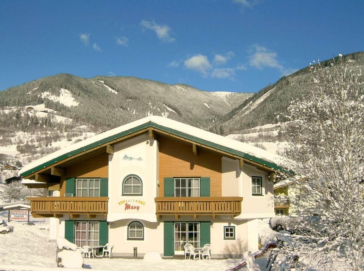 Appartements Mary Inklusive Tauern-Spa Kaprun Eksteriør bilde